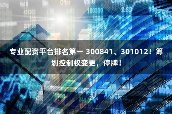专业配资平台排名第一 300841、301012！筹划控制权变更，停牌！