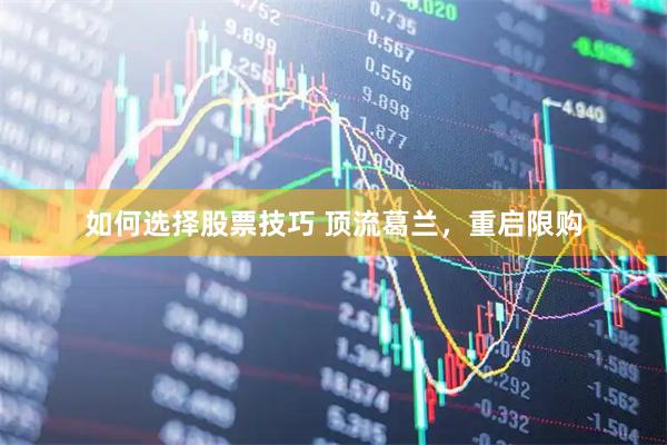 如何选择股票技巧 顶流葛兰，重启限购