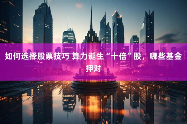如何选择股票技巧 算力诞生“十倍”股，哪些基金押对