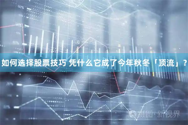 如何选择股票技巧 凭什么它成了今年秋冬「顶流」？